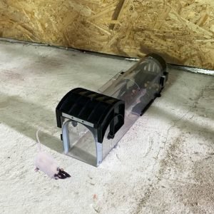 Mouse Trap/ Perangkap Tikus