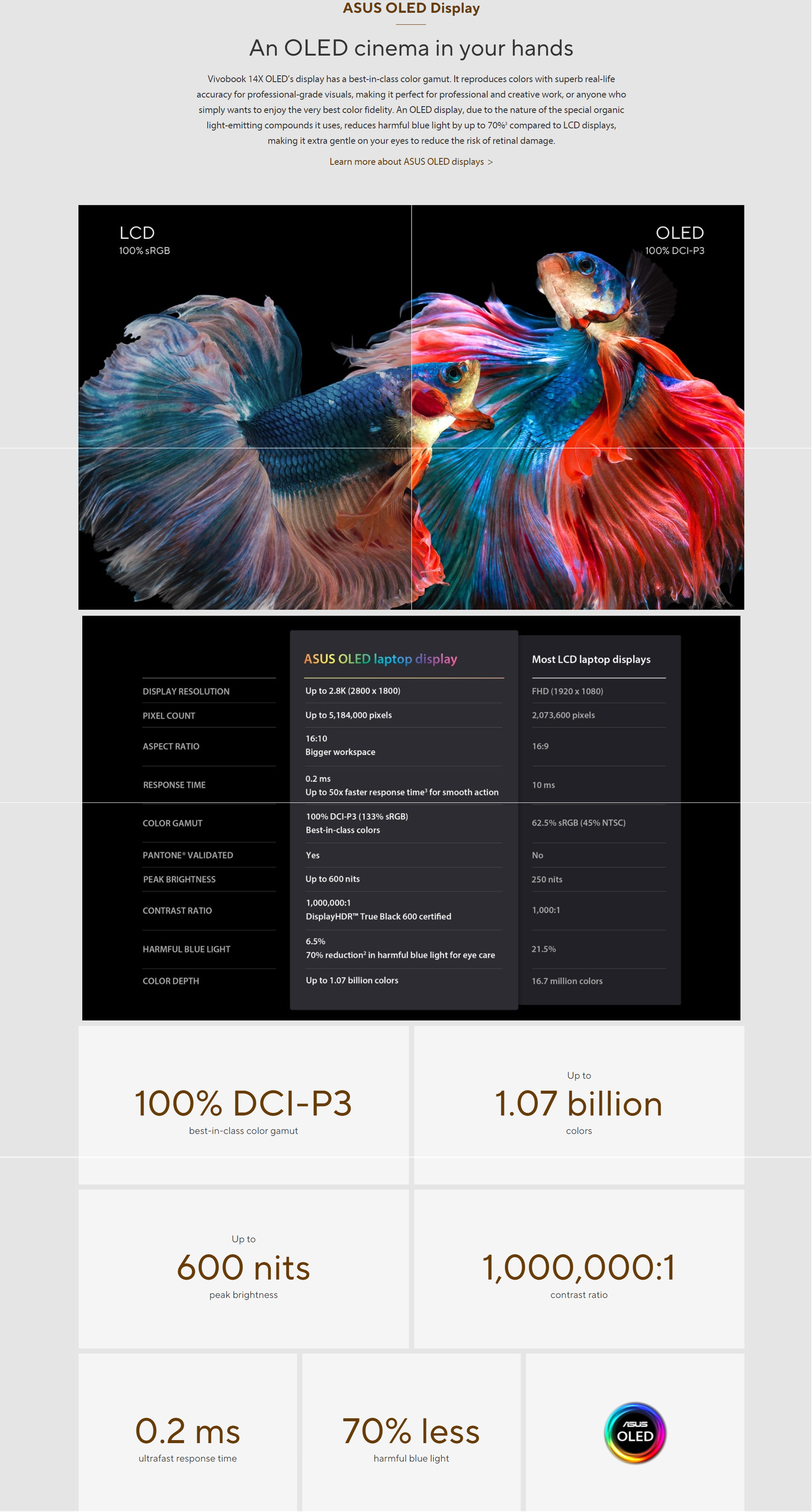 screenshot www.asus .com 2022.09.21 14 18 12 -