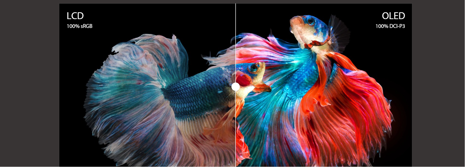 screenshot www.asus .com 2022.10.02 13 20 40 -