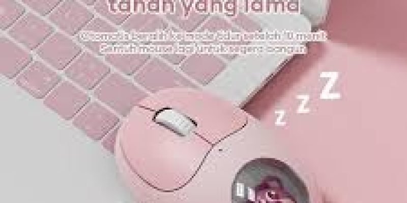 download - 2026-02-12T115234.521