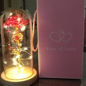 Bunga Mawar KACA AKRILIK lampu LED MENYALA kado valentine,wisuda,ultah