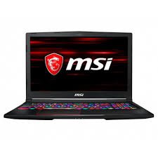 MSI Raider